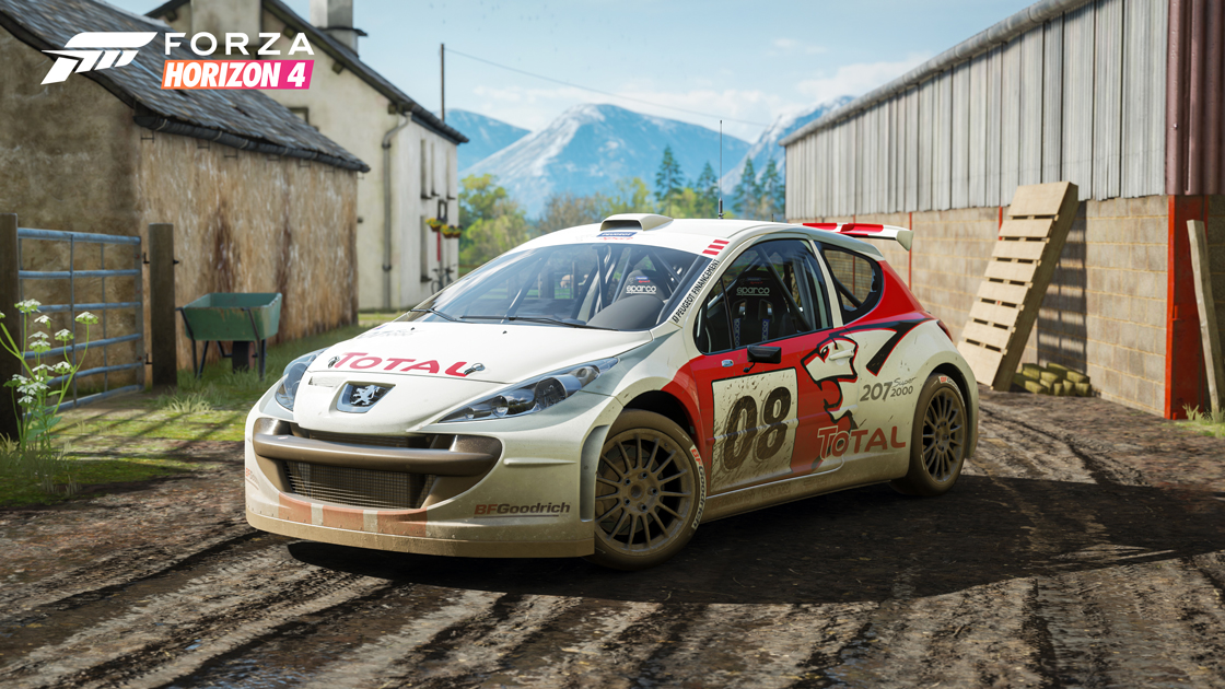 Peugeot 207 Rally
